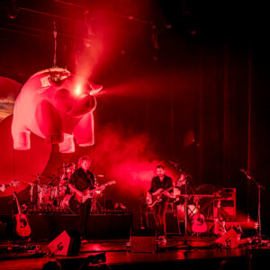 Pink Project web